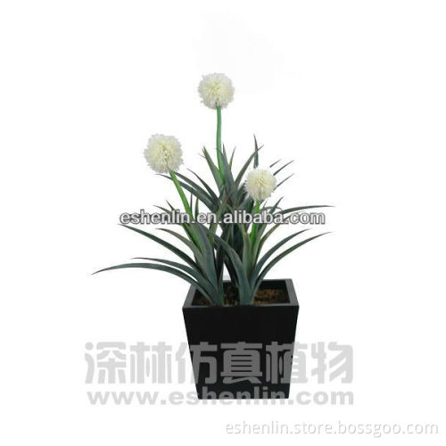 artificial Hoya Archboldiana plant